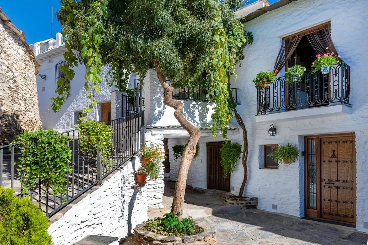 Apartamento Casa Antonia Capileira La Alpujarra