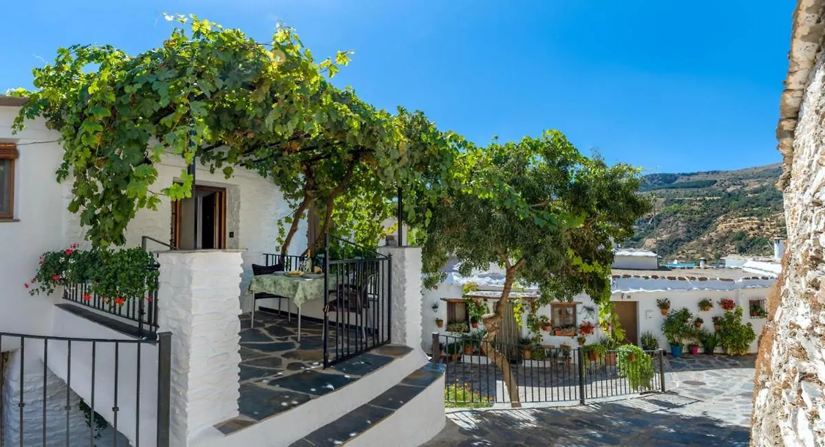 Casa Antonia Capileira La Alpujarra Apartment