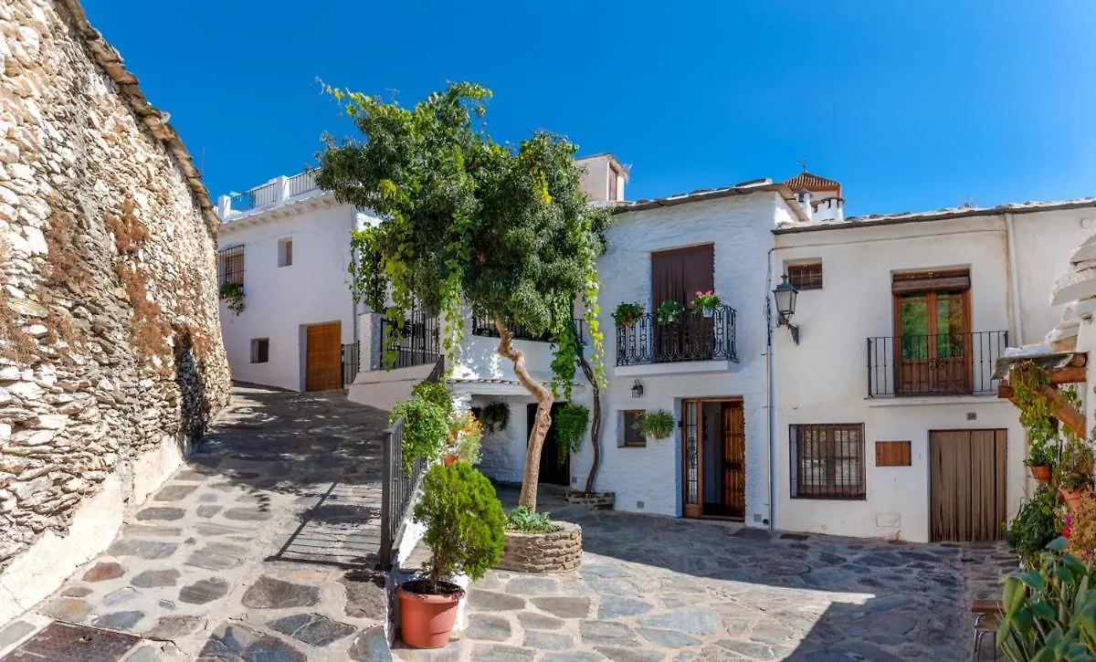 Casa Antonia Capileira La Alpujarra Apartment Spain